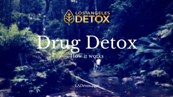 how drug detox works