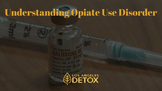 LA Detox - understanding opiate use disorder